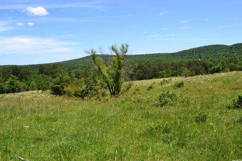 4819 S Mountain Rd, Marshall, AR 72650 photo 13