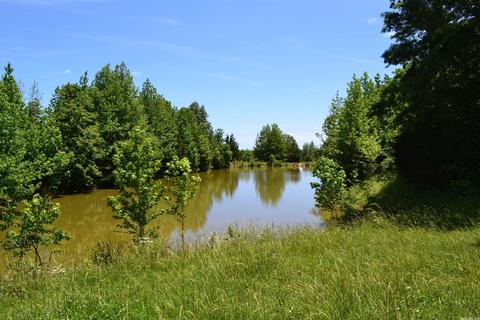 4819 S Mountain Rd, Marshall, AR 72650 photo 28