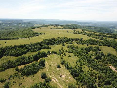 4819 S Mountain Rd, Marshall, AR 72650 photo 46