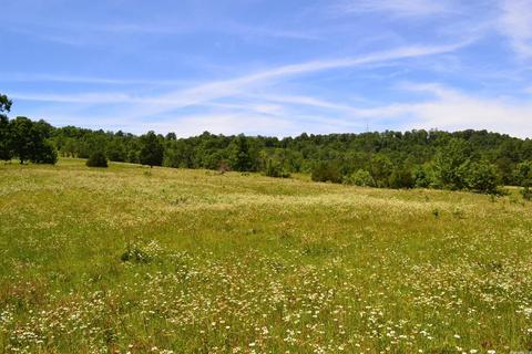 4819 S Mountain Rd, Marshall, AR 72650 photo 23