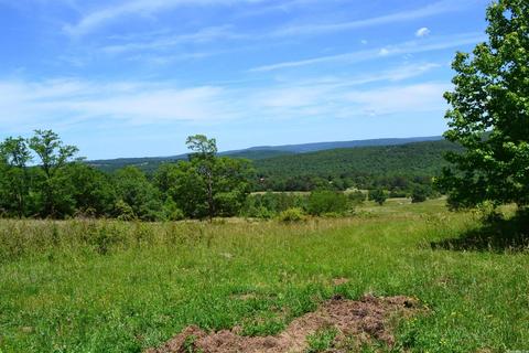 4819 S Mountain Rd, Marshall, AR 72650 photo 34