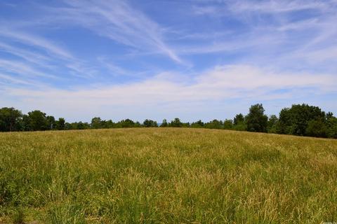 4819 S Mountain Rd, Marshall, AR 72650 photo 15