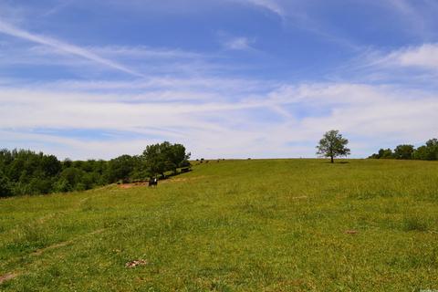 4819 S Mountain Rd, Marshall, AR 72650 photo 7