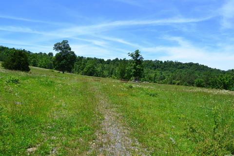 4819 S Mountain Rd, Marshall, AR 72650 photo 30