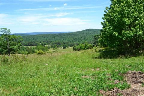 4819 S Mountain Rd, Marshall, AR 72650 photo 35