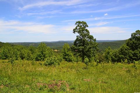4819 S Mountain Rd, Marshall, AR 72650 photo 38
