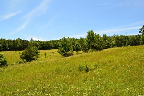 4819 S Mountain Rd, Marshall, AR 72650 photo 27