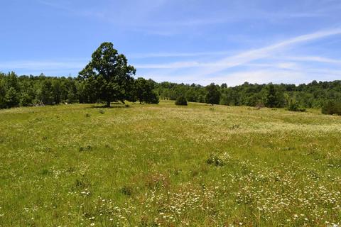 4819 S Mountain Rd, Marshall, AR 72650 photo 22