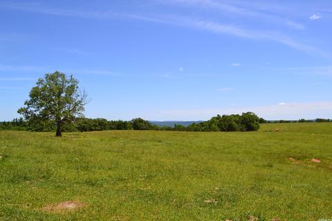 4819 S Mountain Rd, Marshall, AR 72650 photo 6