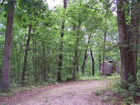 434 Griffin, Hardy, AR 72542 photo 2