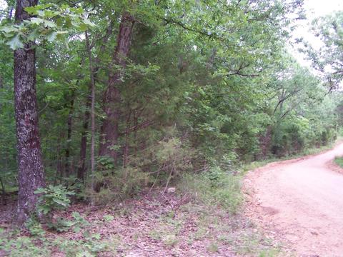 434 Griffin, Hardy, AR 72542 photo 8