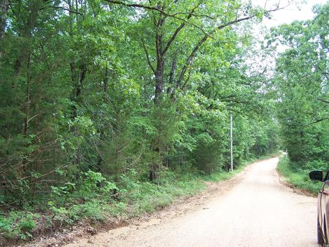 434 Griffin, Hardy, AR 72542 photo 18
