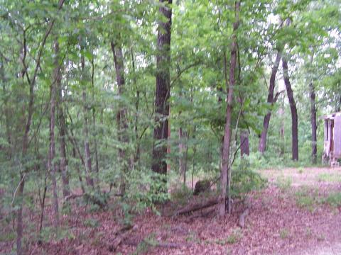 434 Griffin, Hardy, AR 72542 photo 6