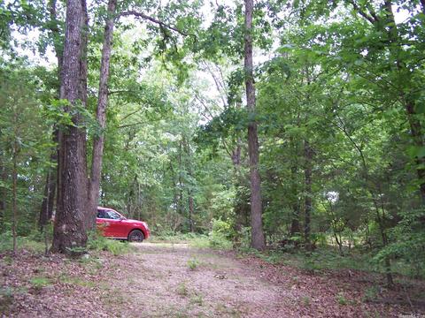 434 Griffin, Hardy, AR 72542 photo 3