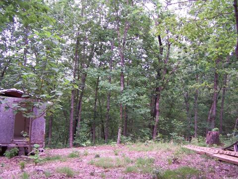 434 Griffin, Hardy, AR 72542 photo 9
