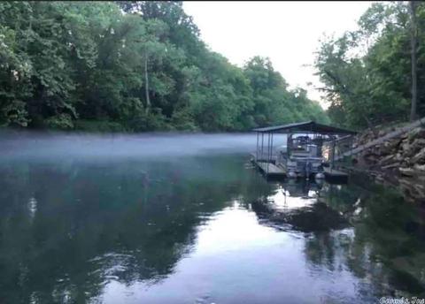 138 Riverside Dr, Pangburn, AR 72121 photo 3