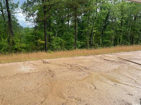 1981 Milburn Dr, Benton, AR 72015 photo 13