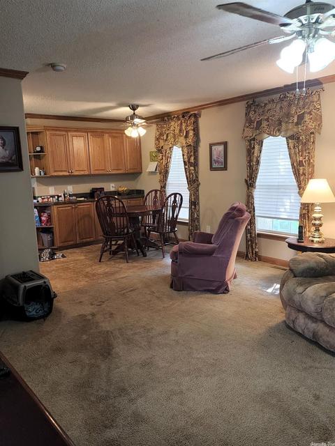 131 Horizon, Mena, AR 71953 photo 26