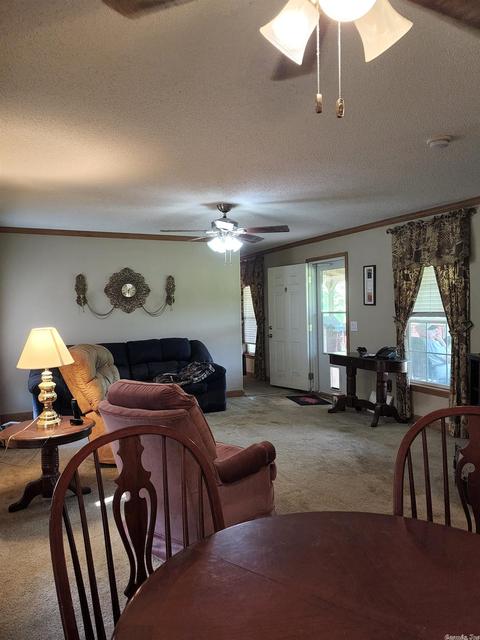 131 Horizon, Mena, AR 71953 photo 25