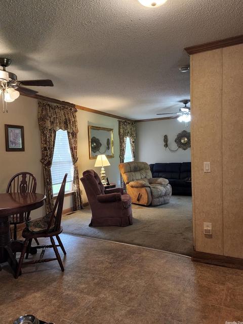 131 Horizon, Mena, AR 71953 photo 27