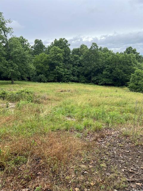 1300 Harness, Mountain View, AR 72560 photo 19