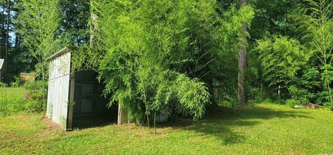 12315 Mandy Ln, Alexander, AR 72002 photo 7