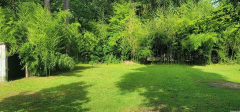 12315 Mandy Ln, Alexander, AR 72002 photo 6