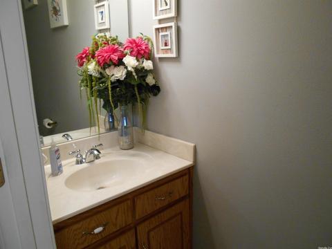23 Willow Cv, Cabot, AR 72023 photo 10