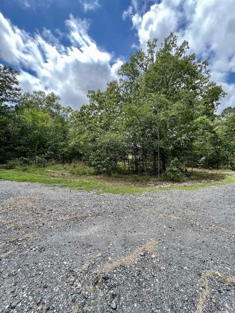 232 Ball Park Rd, Mount Ida, AR 71957 photo 3
