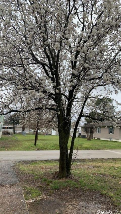 404 N 4th St, Marmaduke, AR 72443 photo 3