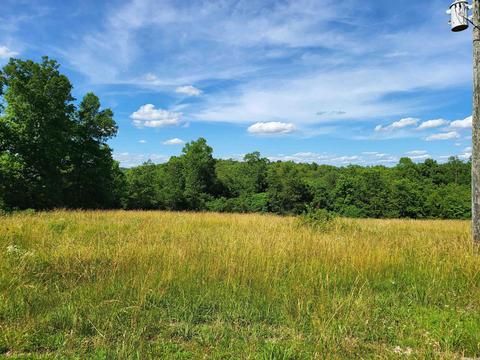 1161 74 Hwy, Marshall, AR 72650 photo 7