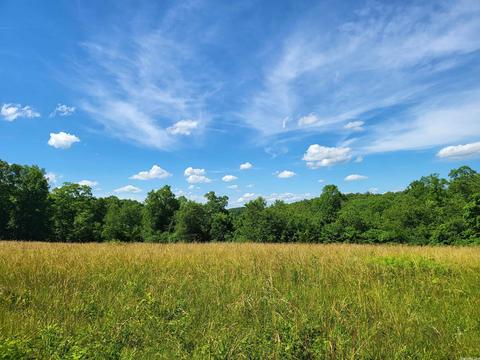 1161 74 Hwy, Marshall, AR 72650 photo 10