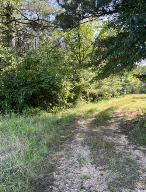 2291 County Road 14, Grapevine, AR 72057 photo 2