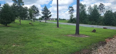 4017 Bent Tree Dr, Benton, AR 72019 photo 39