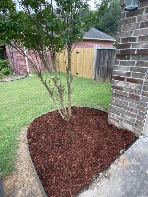 105 Griffin Dr, Beebe, AR 72012 photo 4