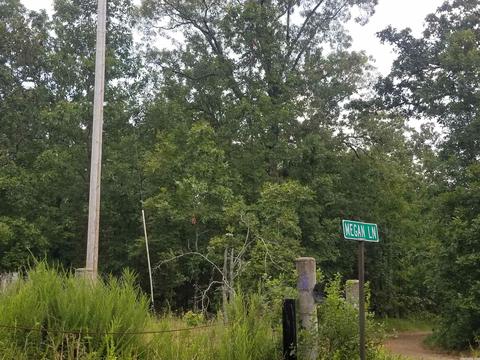 42 Megan Ln, Conway, AR 72032 photo 4