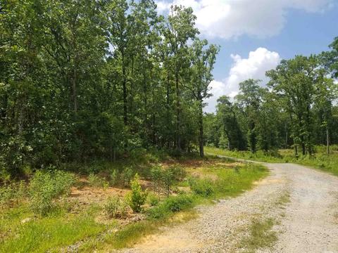 42 Megan Ln, Conway, AR 72032 photo 1