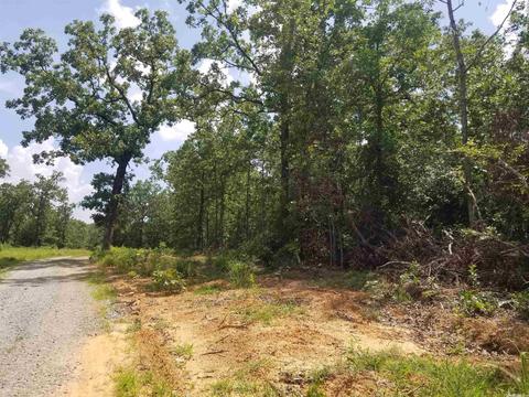 42 Megan Ln, Conway, AR 72032 photo 8