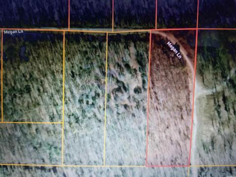 42 Megan Ln, Conway, AR 72032 photo 5
