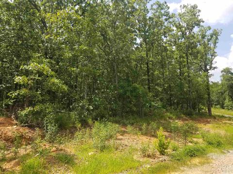 42 Megan Ln, Conway, AR 72032 photo 2