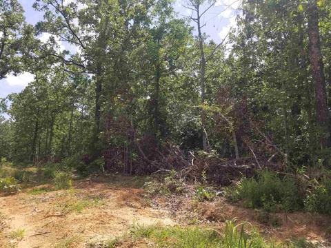 42 Megan Ln, Conway, AR 72032 photo 3