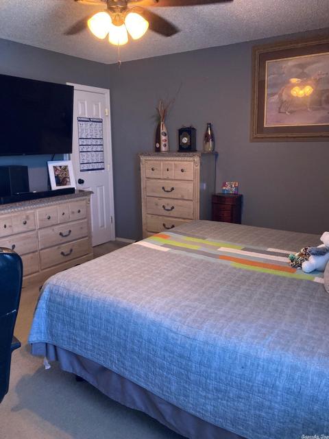 13016 Carousel Ct, Alexander, AR 72002 photo 16