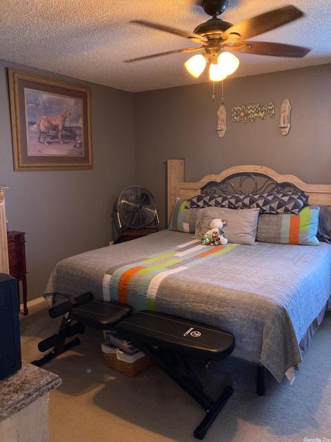 13016 Carousel Ct, Alexander, AR 72002 photo 14