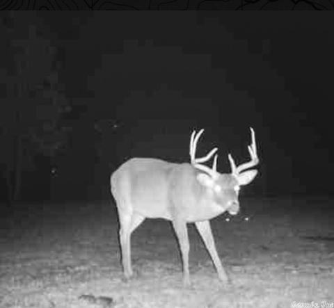12416 Sumner Cemetery Rd, Cabot, AR 72023 photo 5