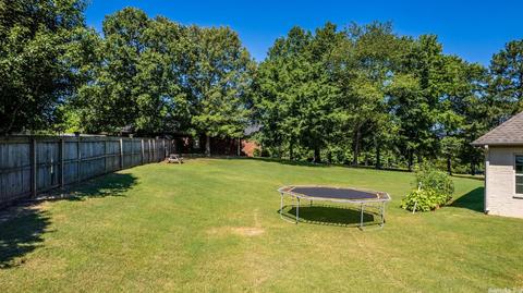 2 Ashton Pt, Wooster, AR 72058 photo 35