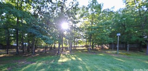 158 Crestview Dr, Mount Ida, AR 71957 photo 38