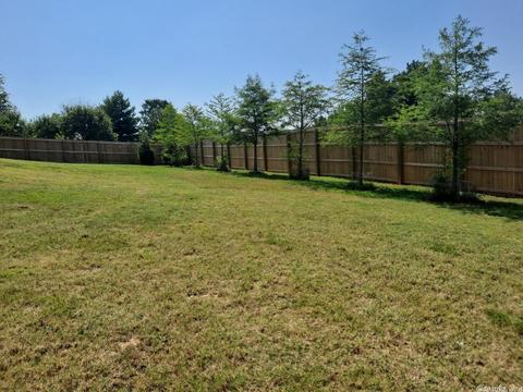 40 Greystone Dr, Greenbrier, AR 72058 photo 20