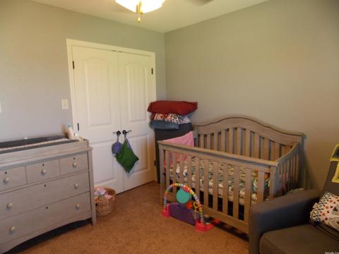 261 Creek View Dr, Austin, AR 72007 photo 21