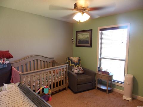 261 Creek View Dr, Austin, AR 72007 photo 20