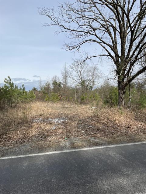 Sorrells Road, Pine Bluff, AR 71603 photo 6